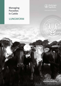 Lungworm Ireland Cover